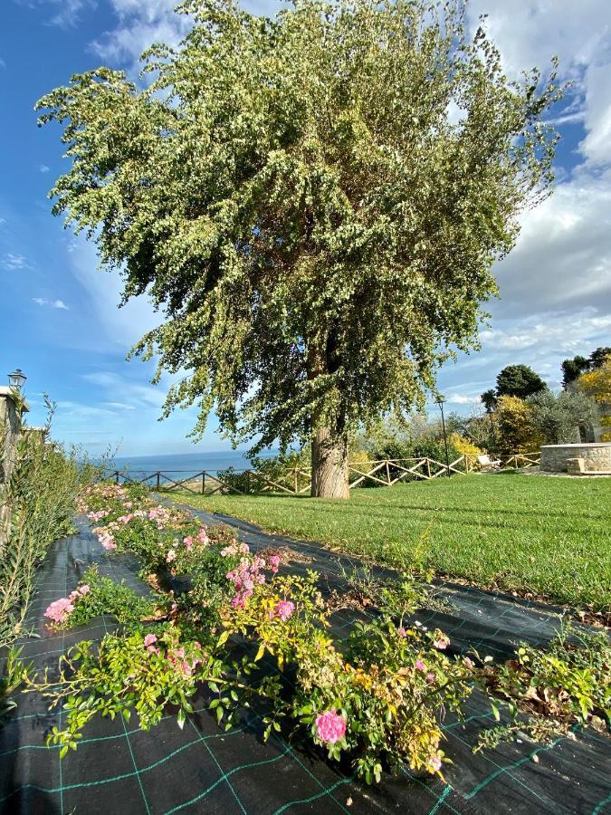Residenza B&B Vistamare Petacciato Exteriör bild
